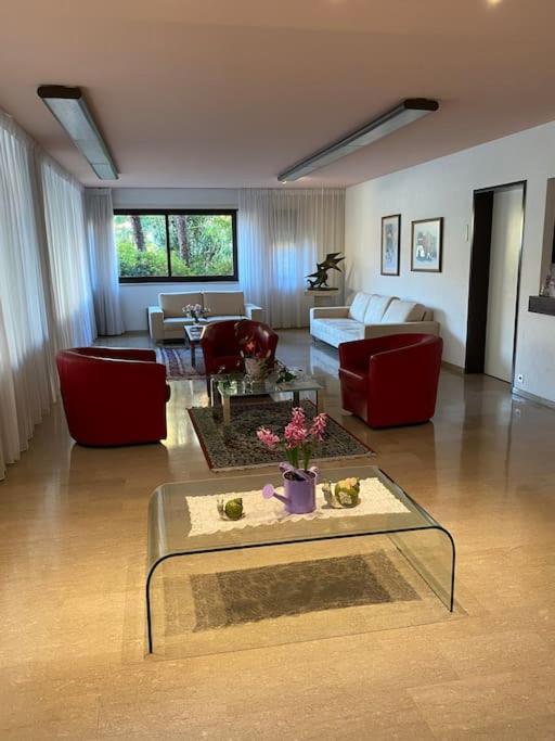 Apartament Ascona: Residenza Sabrina,App 2.5 Locali E Piscina Zewnętrze zdjęcie